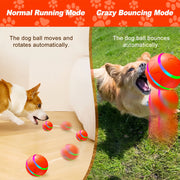 Electric Pet Toy Ball, Interactive Dog Toys withMotion Activated, Squeaky Dog Toy ActiveRolling Ball , 360° Automatic RotatingRoller Ball, Rechargeable Pet Exercise ChaseToy Ball, Suitable for Cats and Dogs to Play,Pet Products,