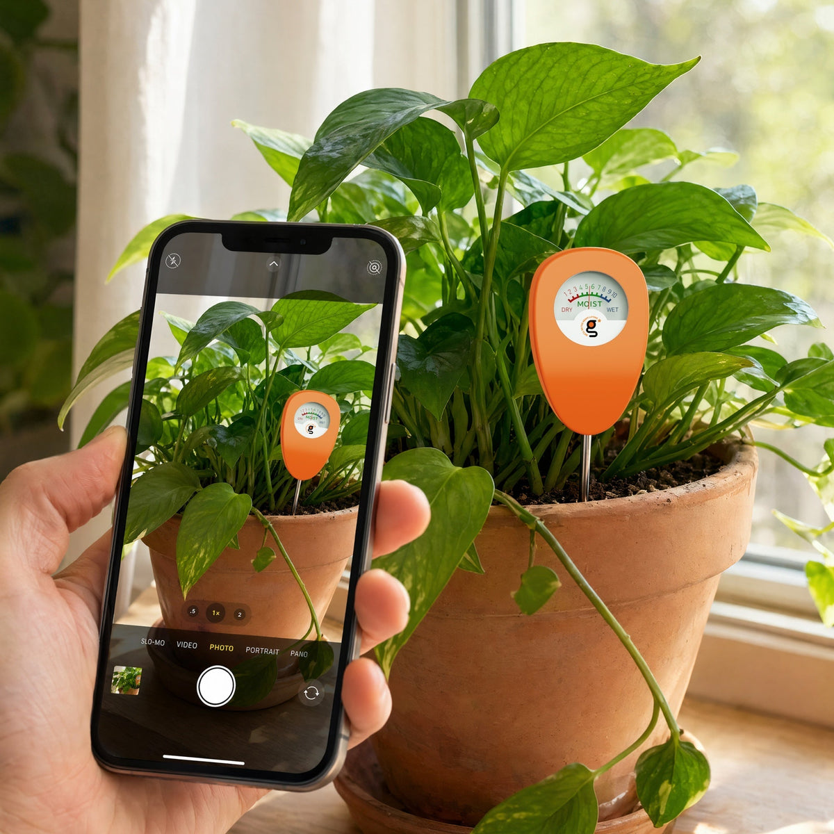 Soil Moisture Meter