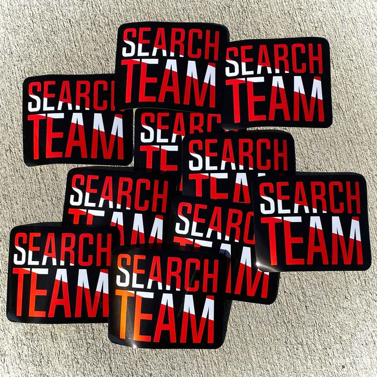 Vinyl Stickers: SEARCH TEAM