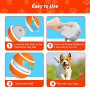 Electric Pet Toy Ball, Interactive Dog Toys withMotion Activated, Squeaky Dog Toy ActiveRolling Ball , 360° Automatic RotatingRoller Ball, Rechargeable Pet Exercise ChaseToy Ball, Suitable for Cats and Dogs to Play,Pet Products,