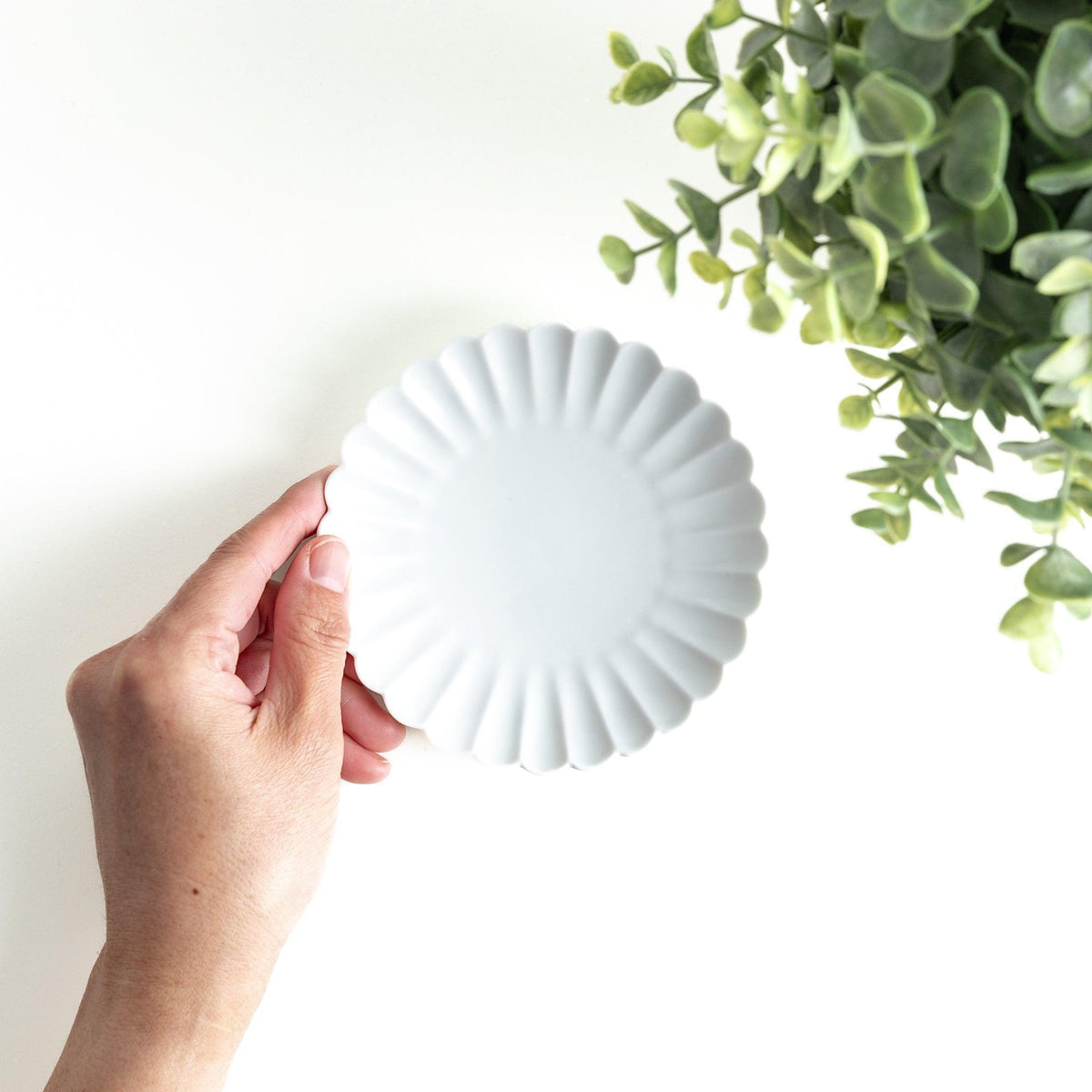 Chrysanthemum Scalloped Sauce Dish