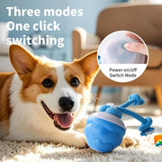Interactive Dog Toys with Motion Activated, Squeaky Dog Toy Active Rolling Ball Wicked Ball for Daily Training,Used for cats and dogs, pet accessories, cute pet toys