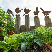 🐦 5-Piece Lifelike Rusty Metal Bird Silhouettes Garden Art